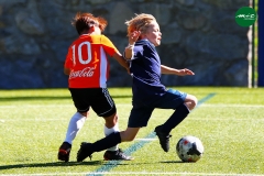 MICF719_A_FEAV_FCP_AF_08