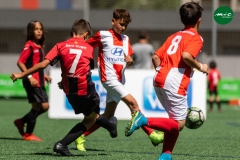 MICF719_B_CDT_FCSC_AG_2