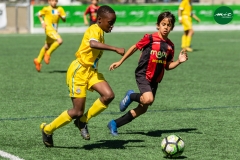 MICF719_B_FCSC_RCDE_AG_1