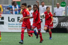 MICF719_C_RCDE_VAL_AG_3