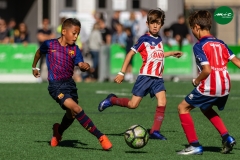 MICF719_D_FCB_VDM_AG_8