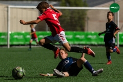 MICF719_D_GIT_JUN_AG_9