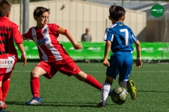 MICF719_D_RCDE_CEB_AG_8