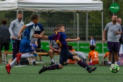 MICF719_B_FCB_RCDE_AG_1