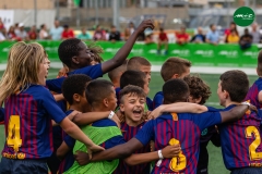 MICF719_D_FCB_RCDE_AG_5
